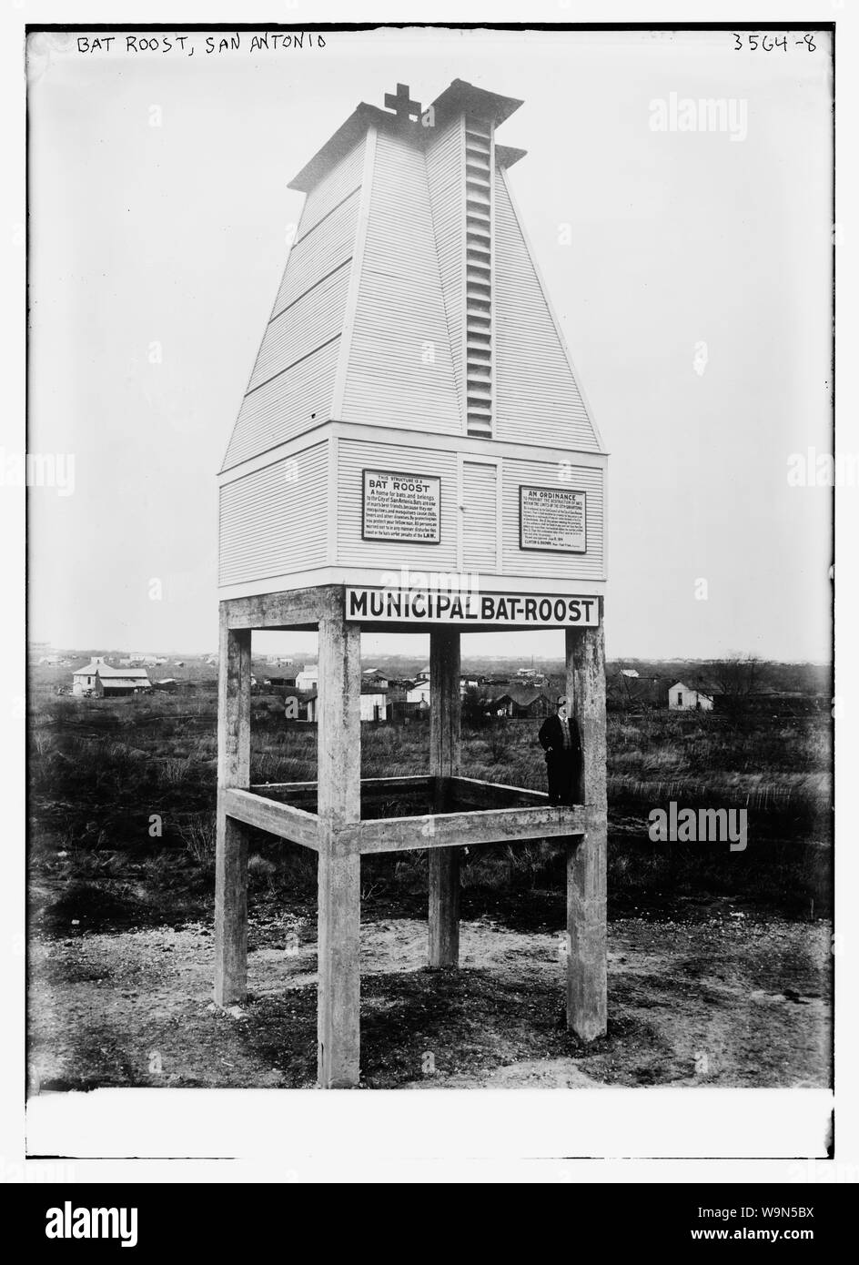 Bat Roost, San Antonio Foto Stock