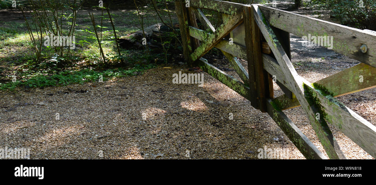 Vecchi cancelli in legno con leichen e alghe chiudere un ingresso lungo una vecchia strada di campagna nel sud-est USA Foto Stock