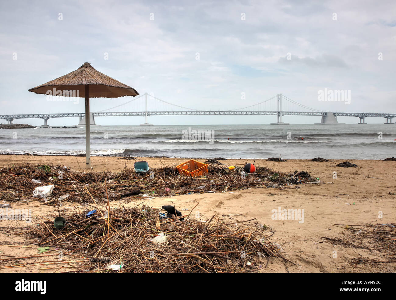 Inquinamento dell ambiente appaiono in spiaggia gwangalli dopo typoon, Busan, Corea del Sud, Asia Foto Stock