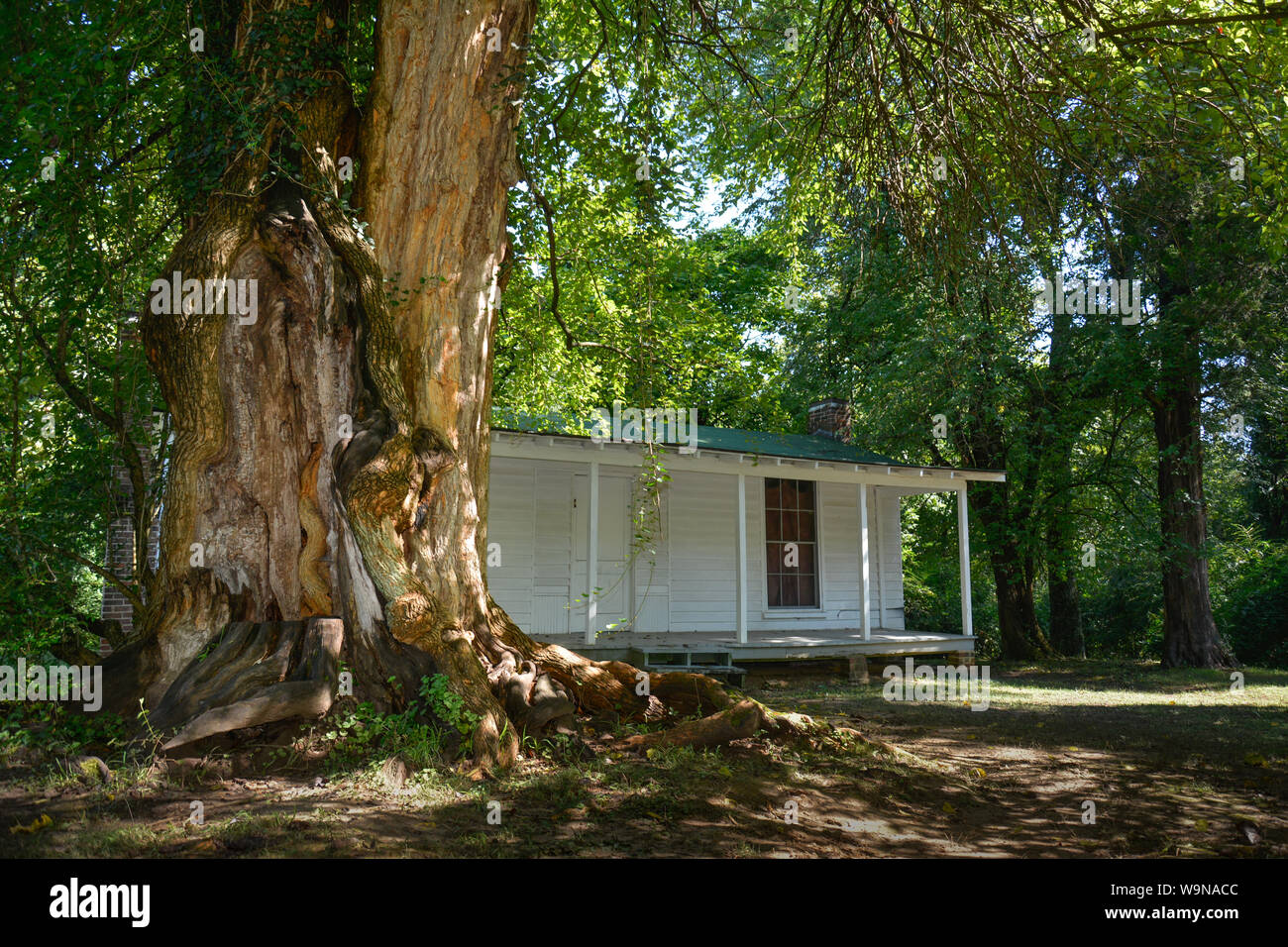 Premio Pulitzer autore vincitore, William Faulkner, costruito questa piccola casa sul sito dell'originale quarti slave a Rowan Oak, Oxford, MS Foto Stock