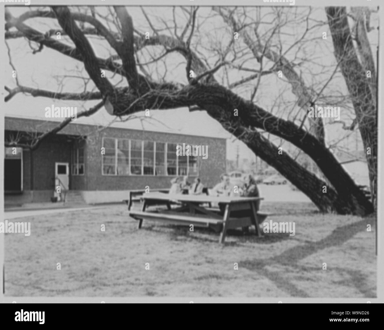 Becton Dickinson & Co., Rutherford, New Jersey. Foto Stock