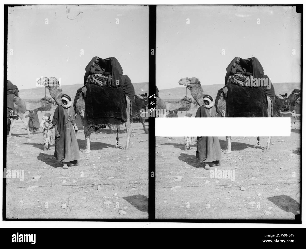 Beduina serie di nozze. Sposa-cameriere sul cammello coperta con "aba" Foto Stock