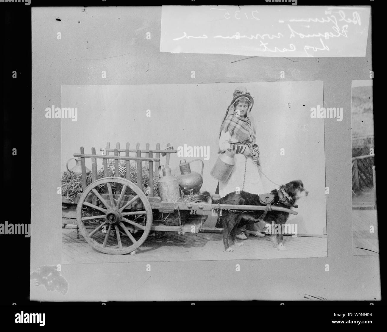 Belgio, fiammingo donna e cane carrello Foto Stock