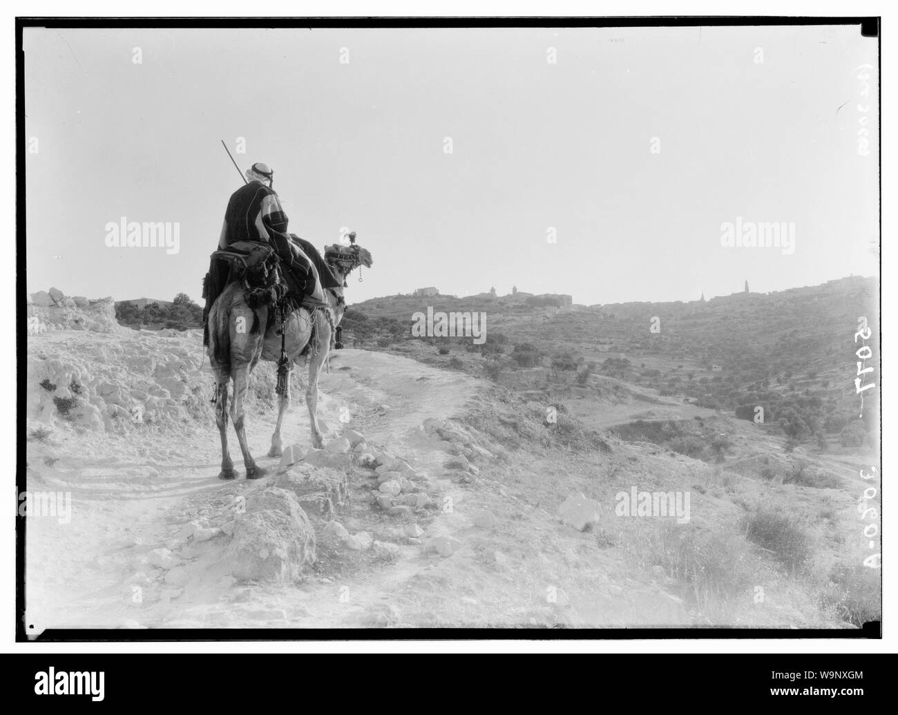 Betlemme e dintorni. Sera Sulla strada per Betlemme, camel-ciclista avvicinandosi a Betlemme nel crepuscolo Foto Stock
