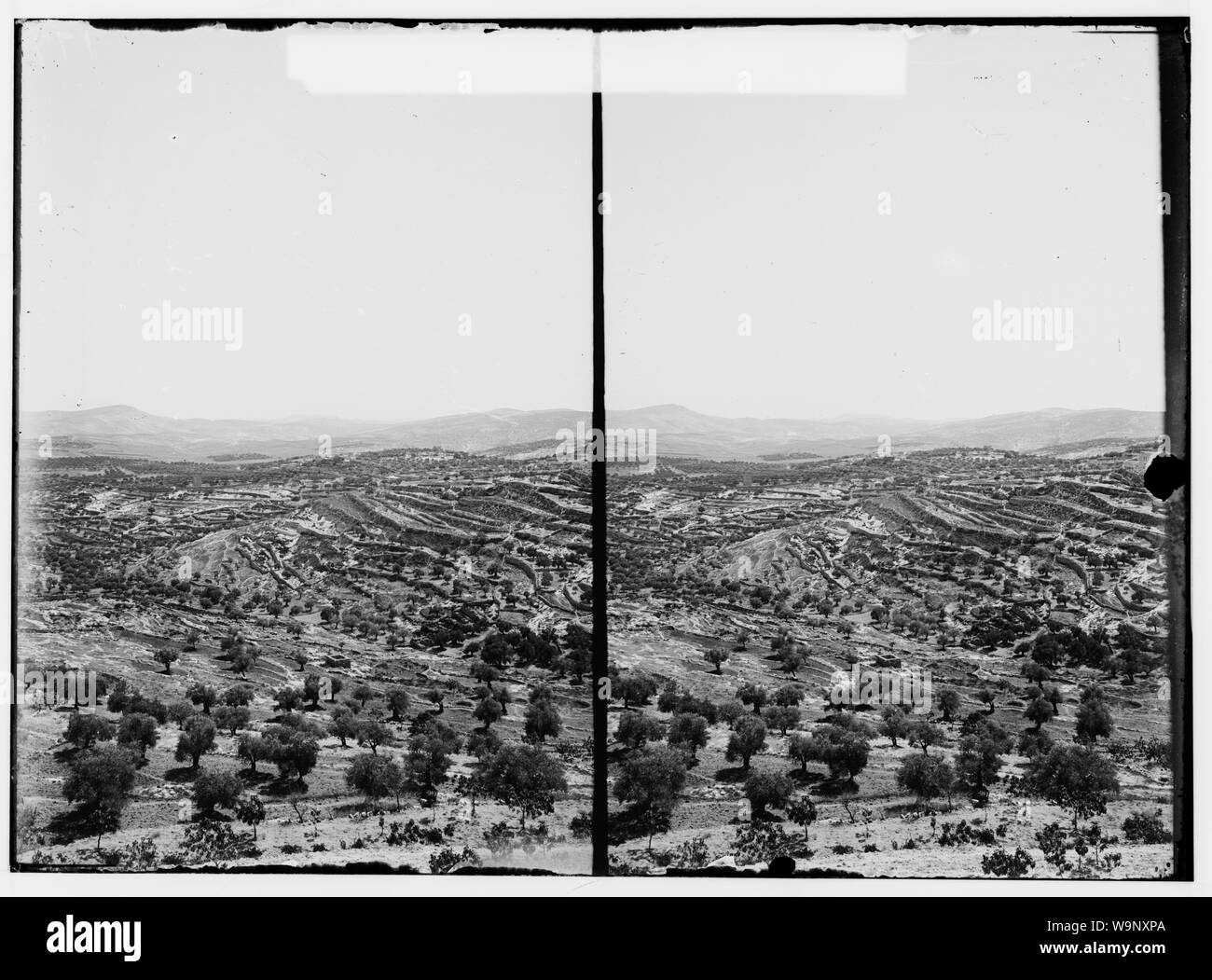 Betlemme e dintorni. Vigneti e Oliveti vicino a Betlemme Foto Stock