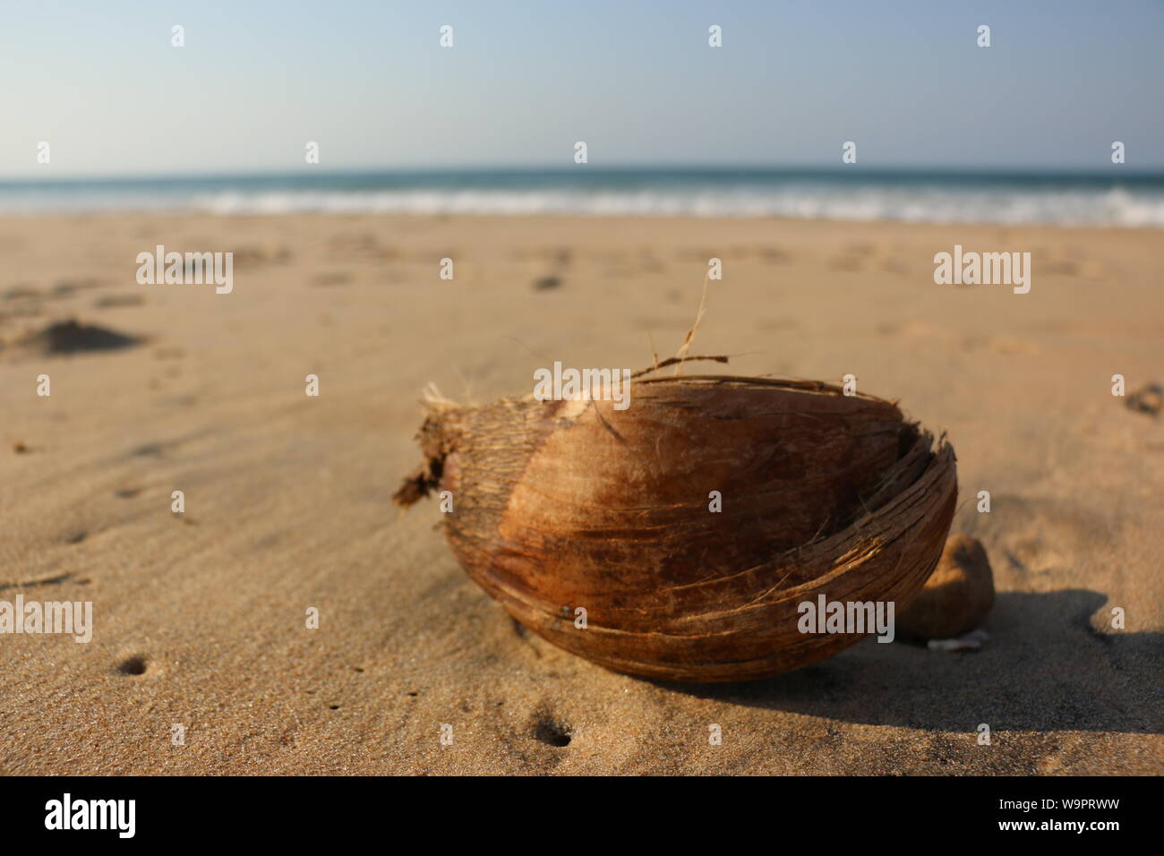 Metà di guscio di noce di cocco sulla spiaggia a Vilanculos, Mozambico Foto Stock