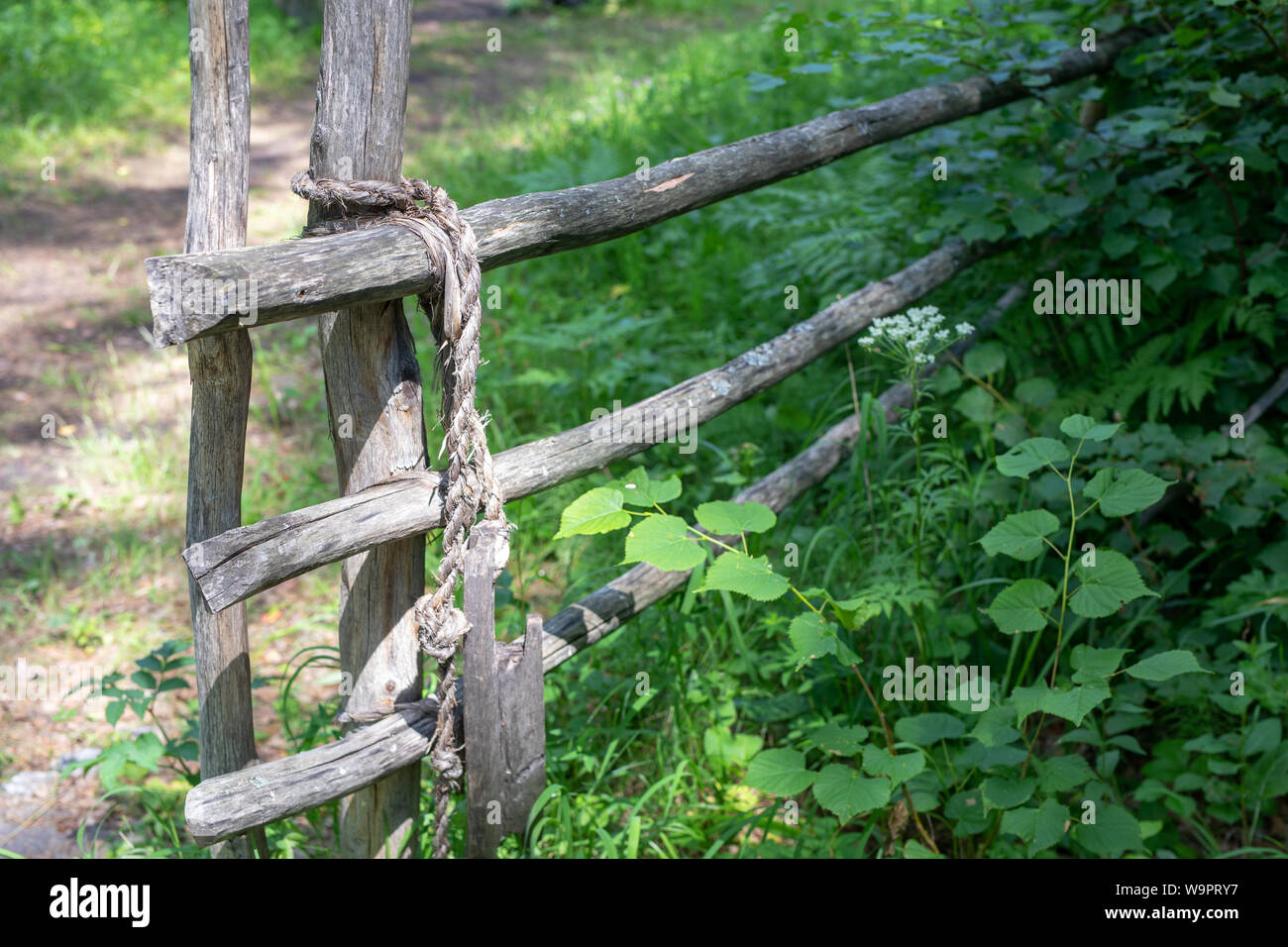 Nodo legato bastone di legno recinto su uno sfondo di erba verde. corda allacciate del vecchio recinto. Foto Stock