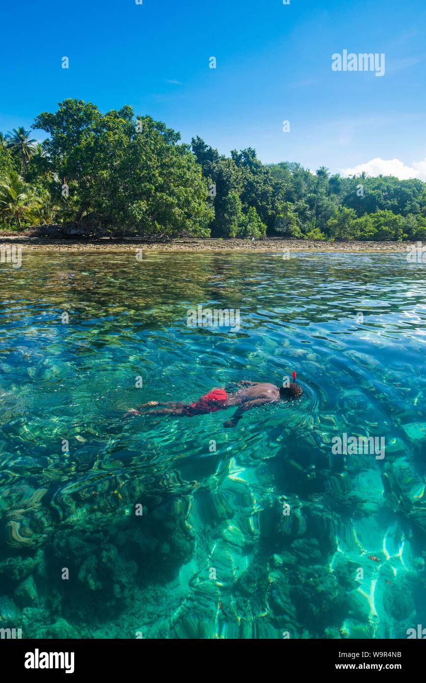 L uomo lo snorkeling in acque chiare, Buka, Papua Nuova Guinea Foto Stock