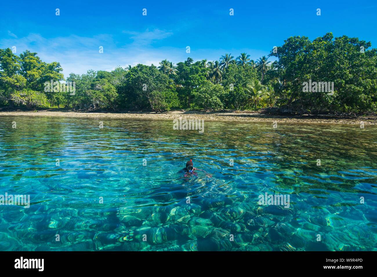 L uomo lo snorkeling in acque chiare, Buka, Papua Nuova Guinea Foto Stock