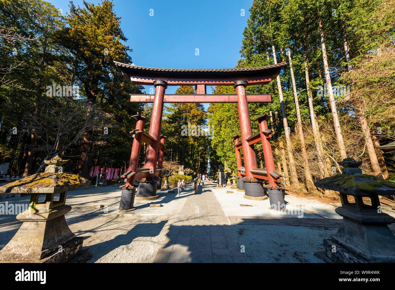 Grande Torii Gate, Kitaguchi-hongu Fuji santuario di gasatura, sacrario scintoista, Fujiyoshida, Prefettura di Yamanashi, Giappone Foto Stock