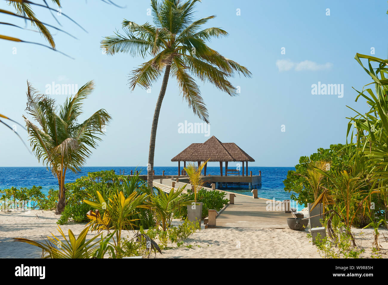 Isole Maldive, jetty, palme, Filaidhoo, Raa Atoll, Asia, Oceano Indiano, Filaidhoo Foto Stock
