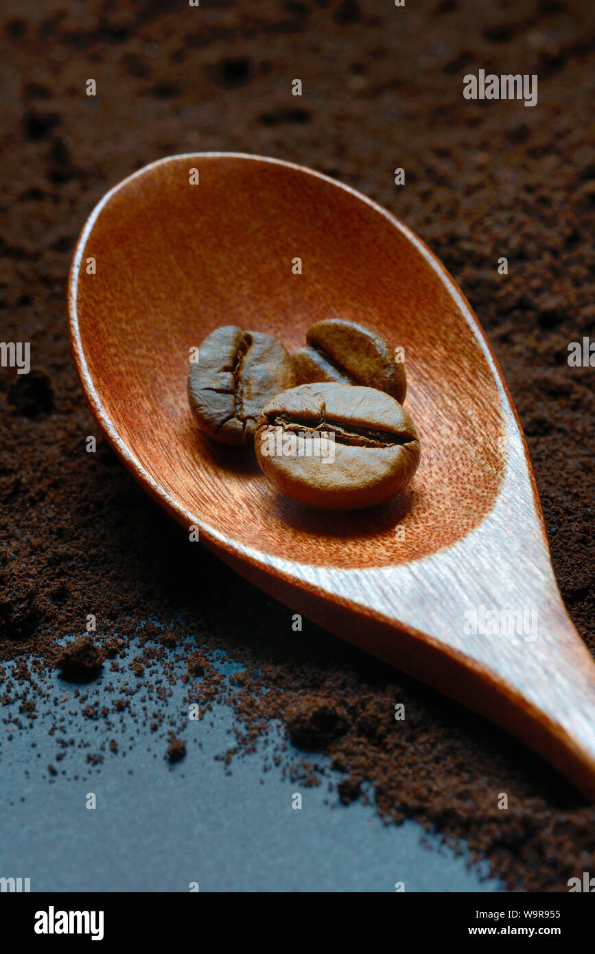 I chicchi di caffè in cucchiaio di legno, polvere di caffè Coffea arabica Foto Stock