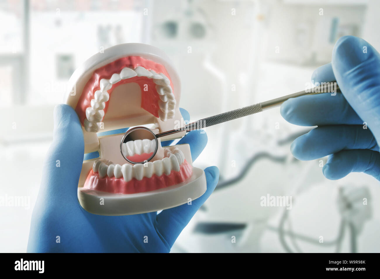 Igiene orale la salute dentale - dentista con denti modello e specchio in mani Foto Stock