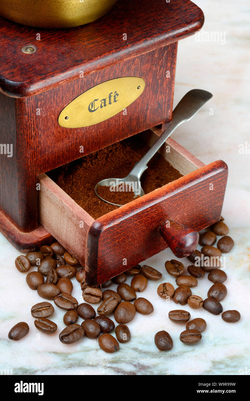 Kaffeepulver in Kaffeemuehle, Kaffee, Coffea arabica Foto Stock