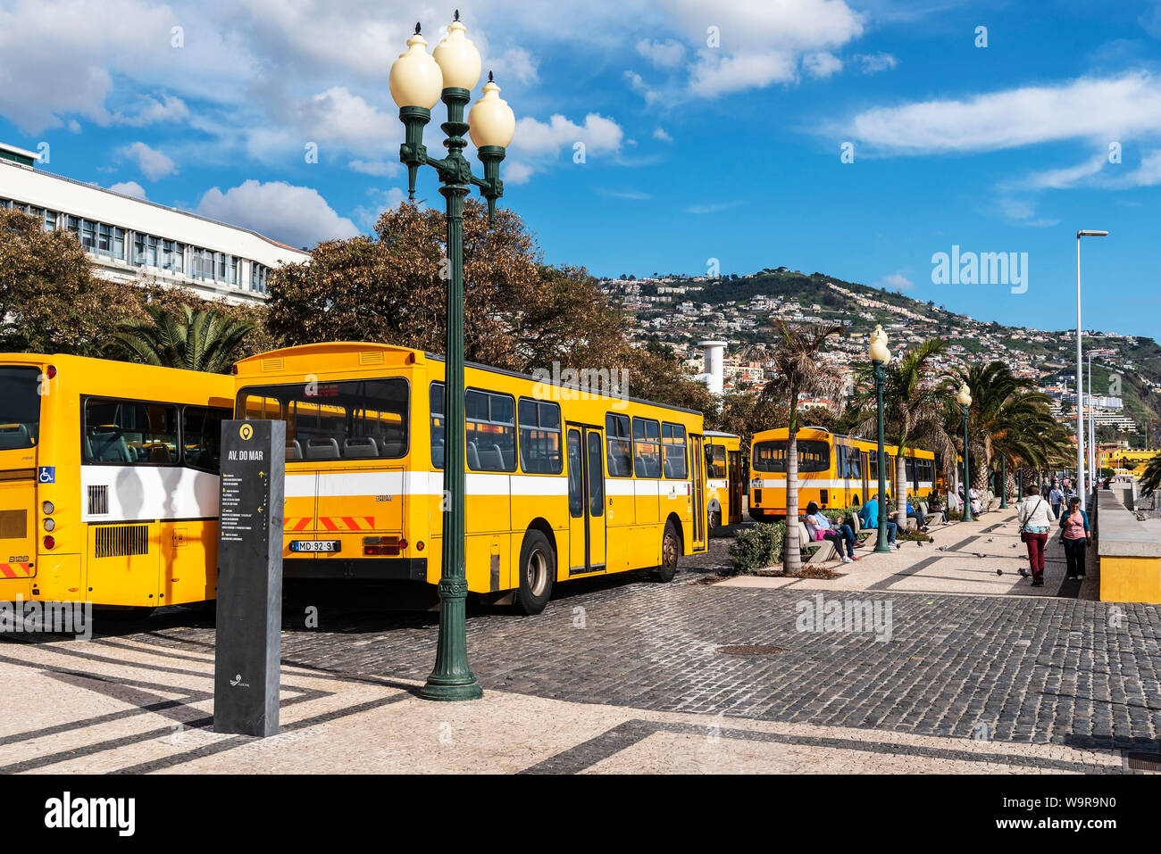 Gli autobus gialli, Funchal, Madeira, Portogallo Foto Stock