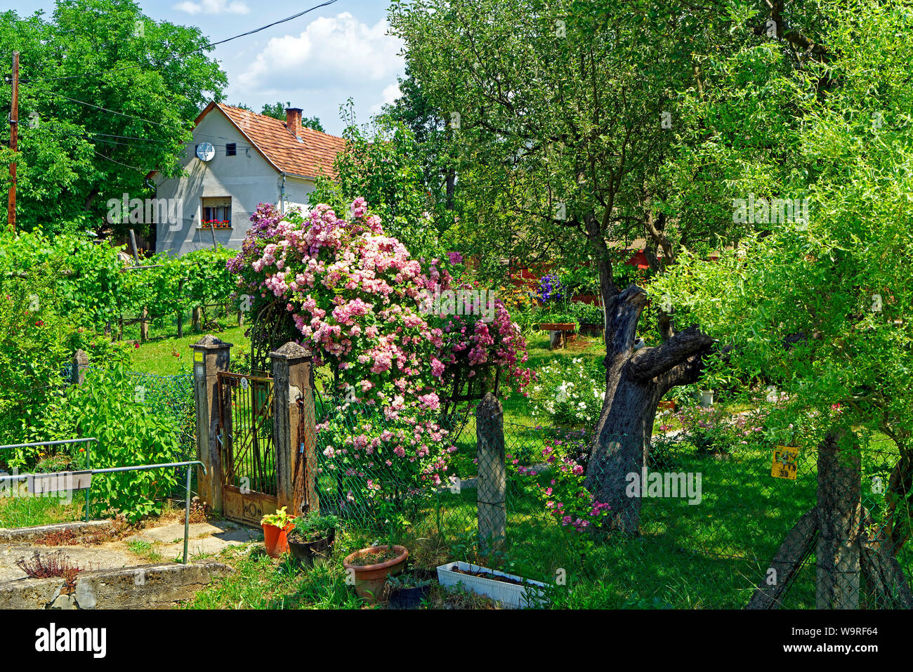 Örség, Wächterregion, Garten, Gartenpforte Foto Stock