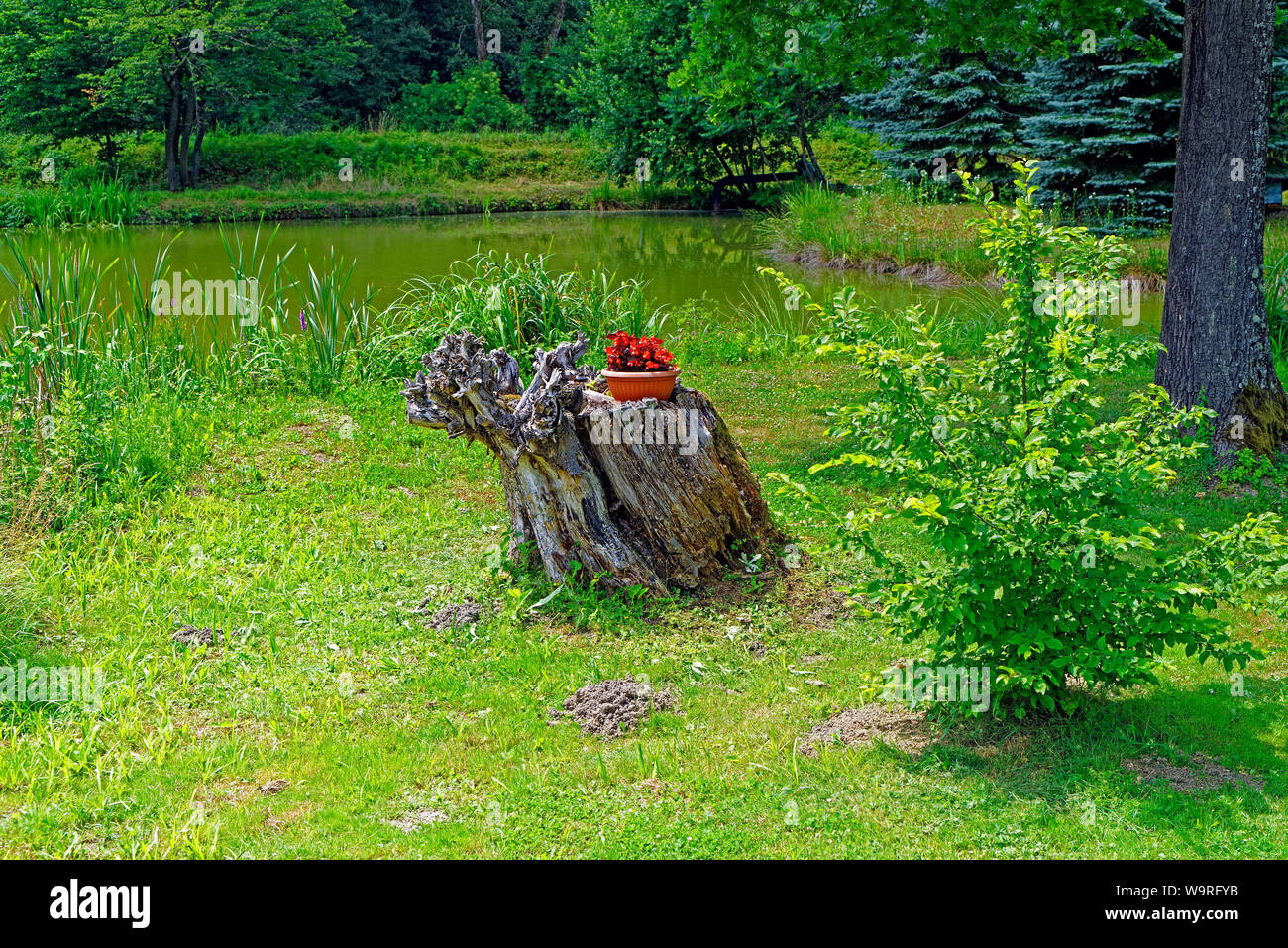 Örség, Wächterregion, Landschaft, Fischteich, Ausflugslokal, Berek Halászkert Foto Stock