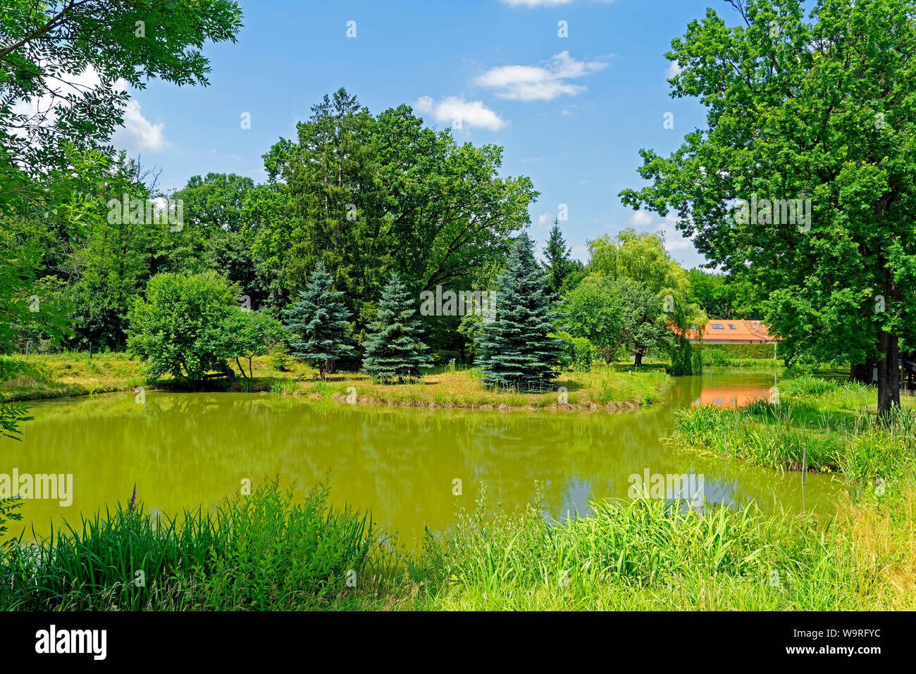 Örség, Wächterregion, Landschaft, Fischteich, Ausflugslokal, Berek Halászkert Foto Stock