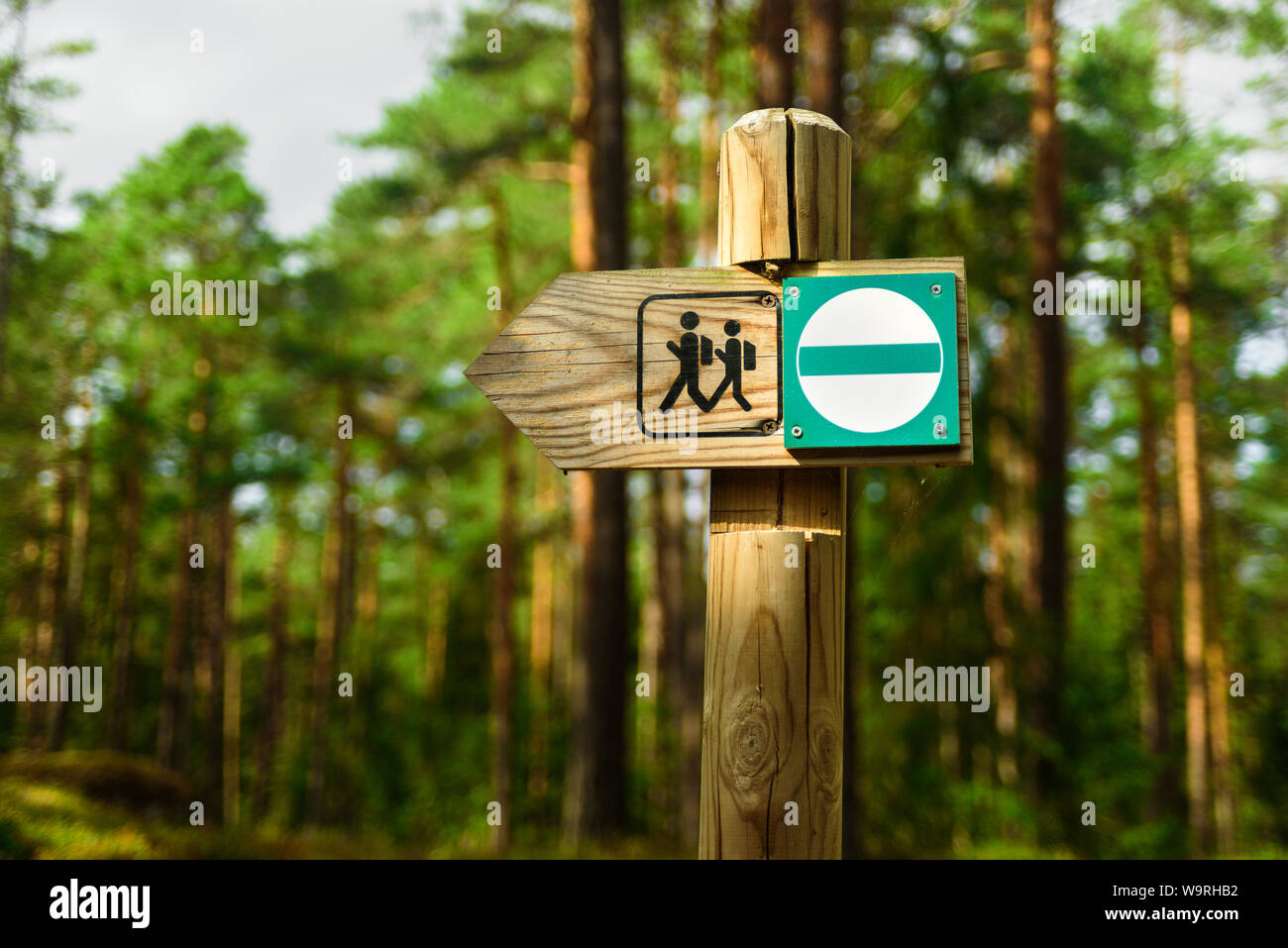 Escursioni in legno segnavia nella foresta estone Foto Stock