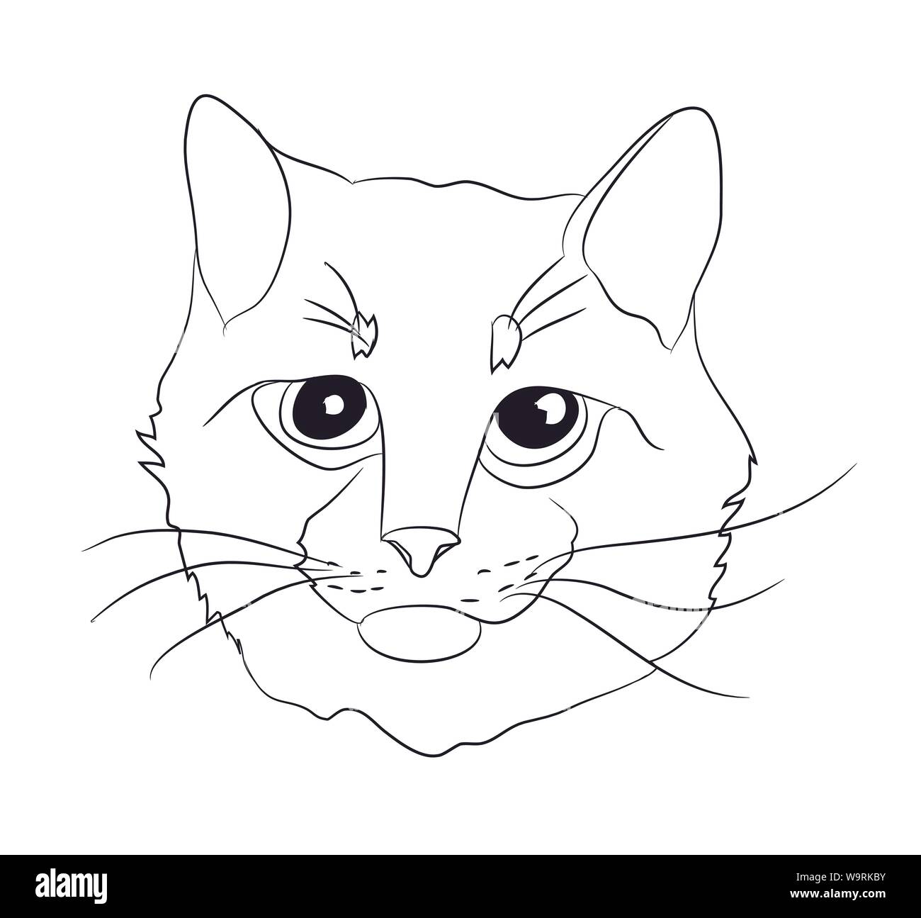 Ritratto di gatto, linee vettoriali, sfondo bianco Illustrazione Vettoriale
