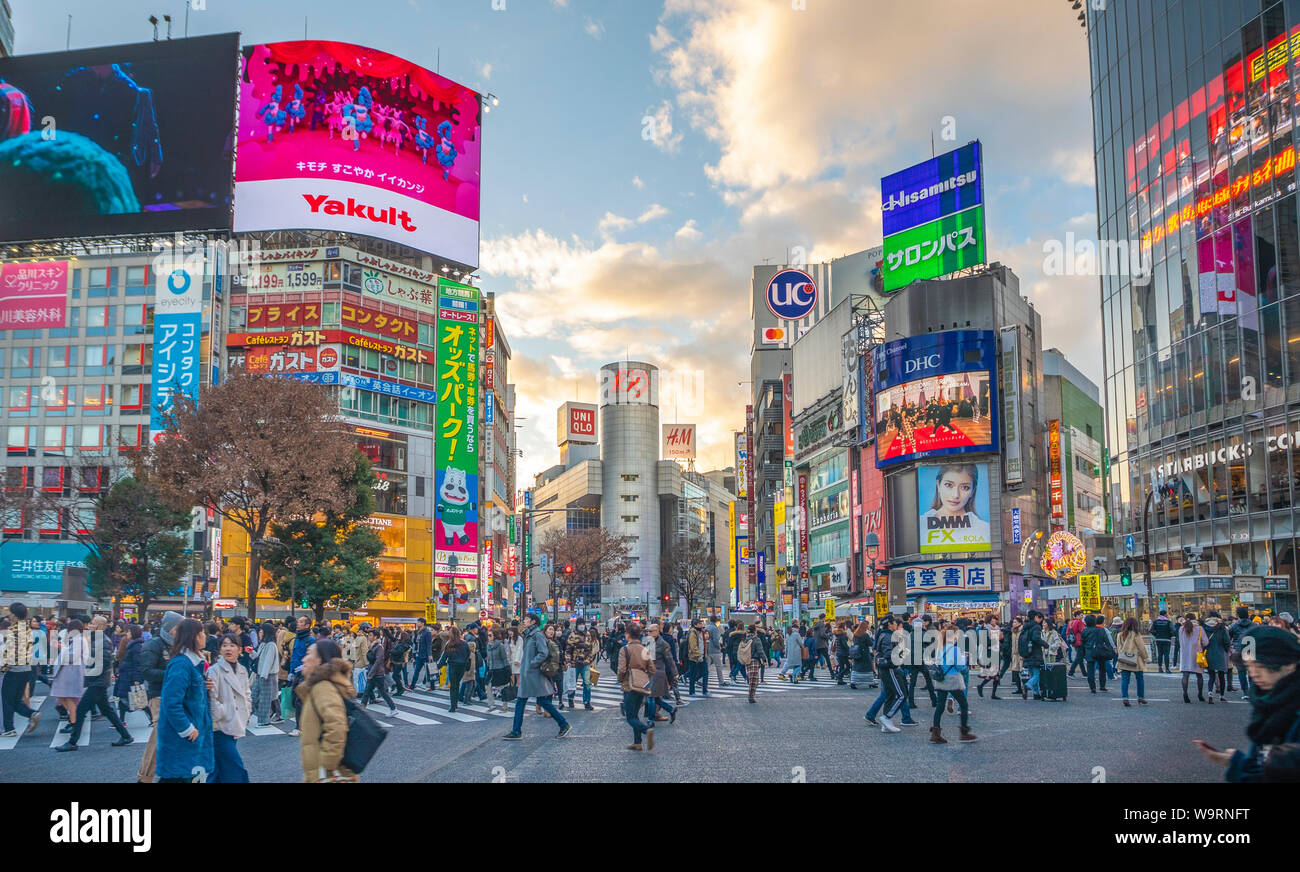 Giappone Tokyo City Shibuya, Hachiko Crossing, 30069894.Caption locale *** Foto Stock
