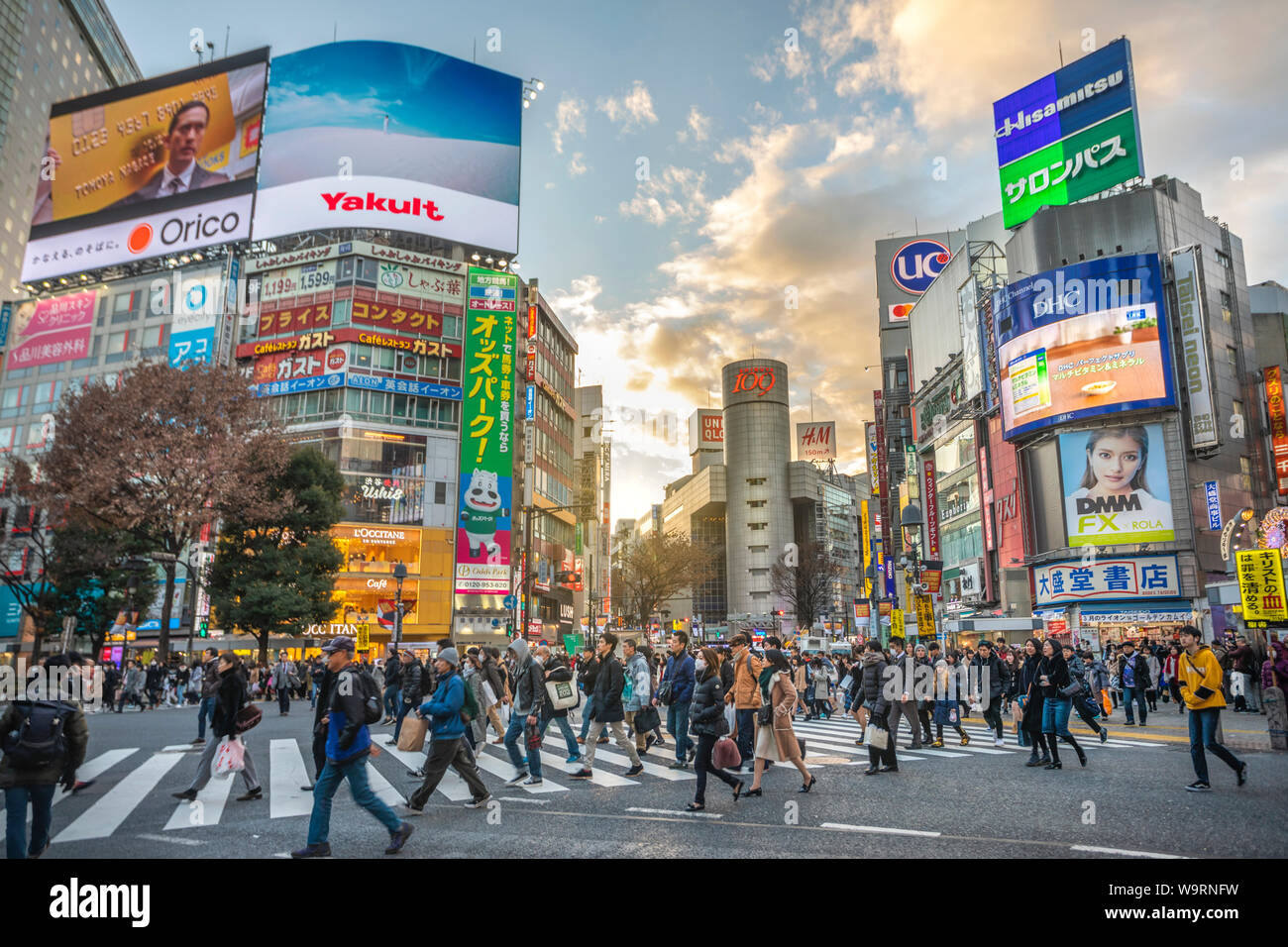 Giappone Tokyo City Shibuya, Hachiko Crossing, 30069892.Caption locale *** Foto Stock