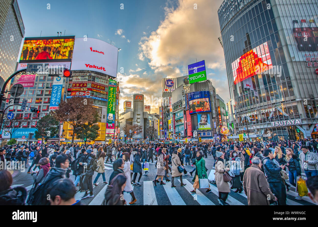 Giappone Tokyo City Shibuya, Hachiko Crossing, 30069896.Caption locale *** Foto Stock