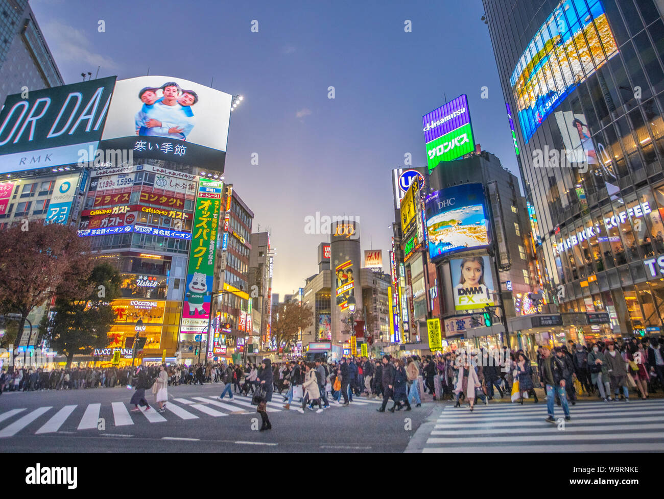 Giappone, Tkyo città, Stazione di Shibuya, Hachiko Crossing, 30069991.Caption locale *** Foto Stock