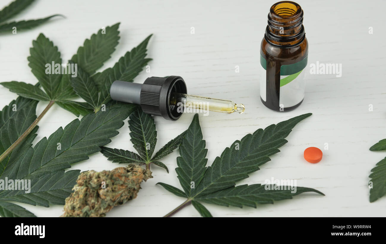 Olio di cannabis, foglie e germogli sono sul tavolo bianco. La marijuana è la medicina. La canapa è un concetto di medicina a base di erbe Foto Stock