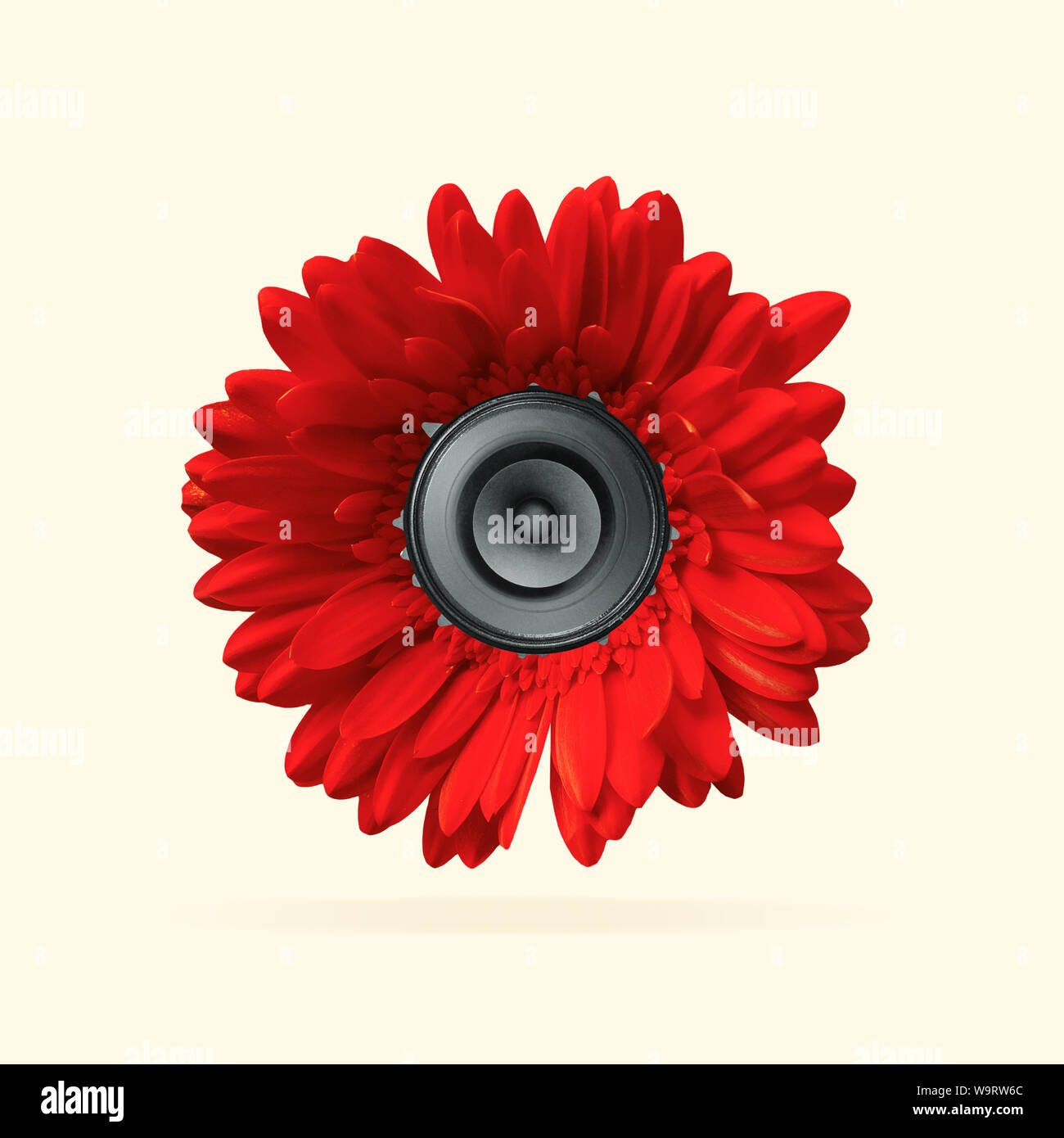 Succosa suono delle canzoni preferite. Fiore rosso con altoparlante al suo interno su sfondo giallo. Lo spazio negativo per inserire il tuo testo. Il design moderno. L'arte contemporanea collage. Concetto di musica. Nuovo look per il festival. Foto Stock