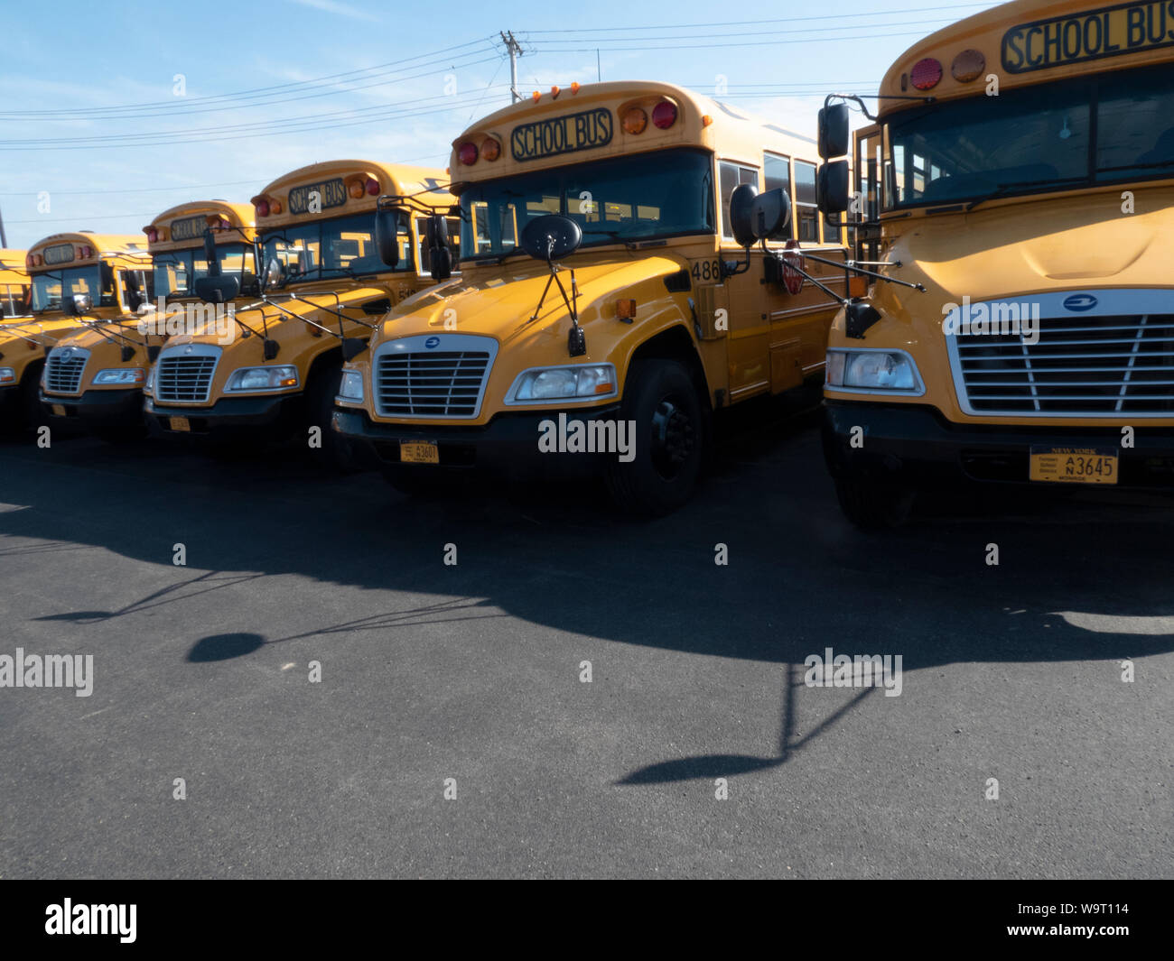 Gli scuolabus parcheggiato sul lotto. Foto Stock
