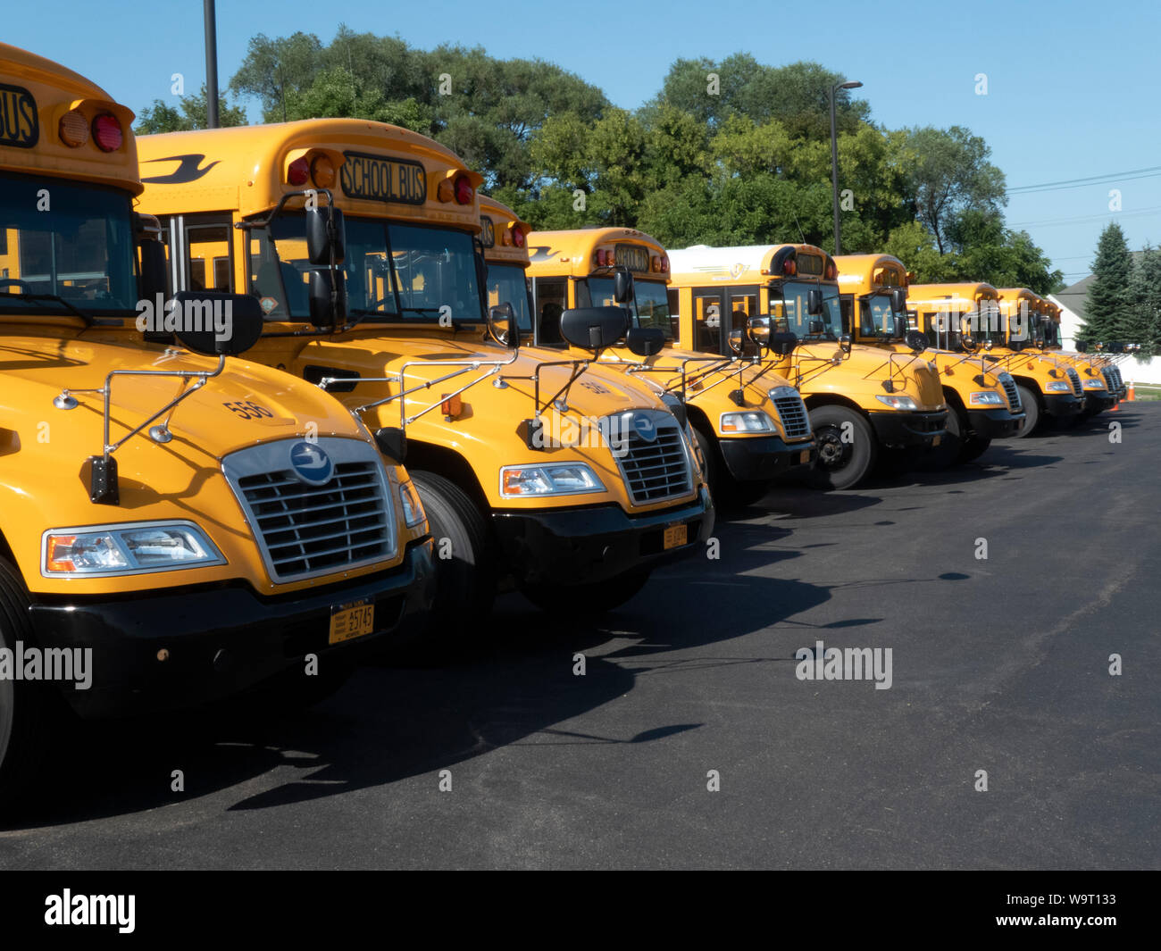 Gli scuolabus parcheggiato sul lotto. Foto Stock