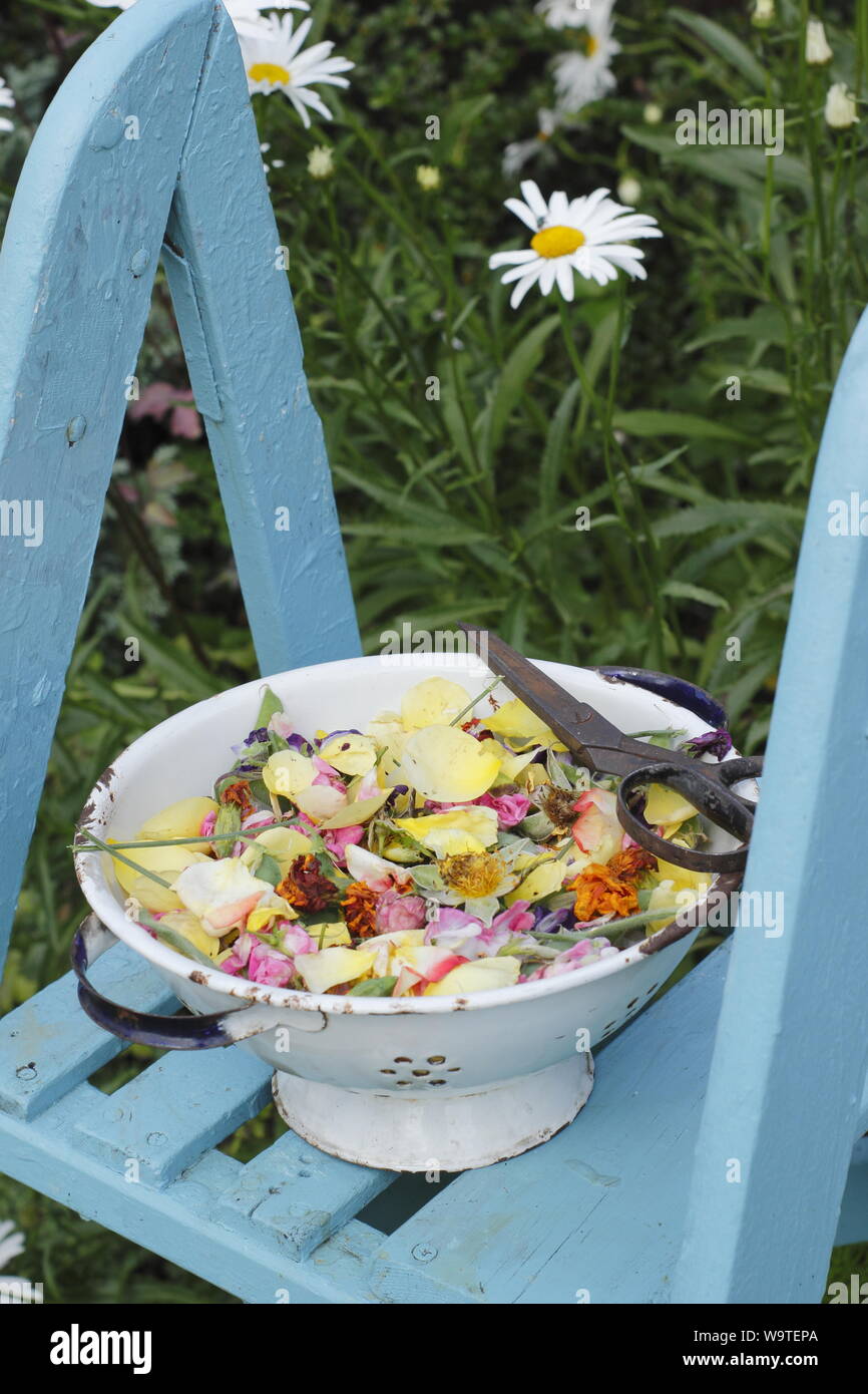 Fiore si arresta - rose, Le calendule e piselli dolci - raccolti in un vecchio colino in un giardino estivo. Regno Unito Foto Stock