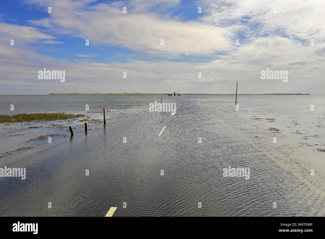 Lindisfarne Causeway verso il rifugio e Isola Santa ad alta marea, Lindisfarne, Northumberland, Inghilterra, Regno Unito. Foto Stock