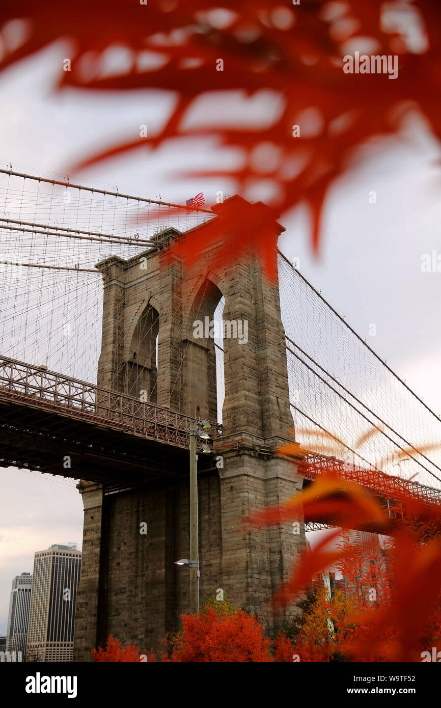 Foglie di autunno nella parte anteriore del ponte di Brooklyn, New York, Stati Uniti Foto Stock