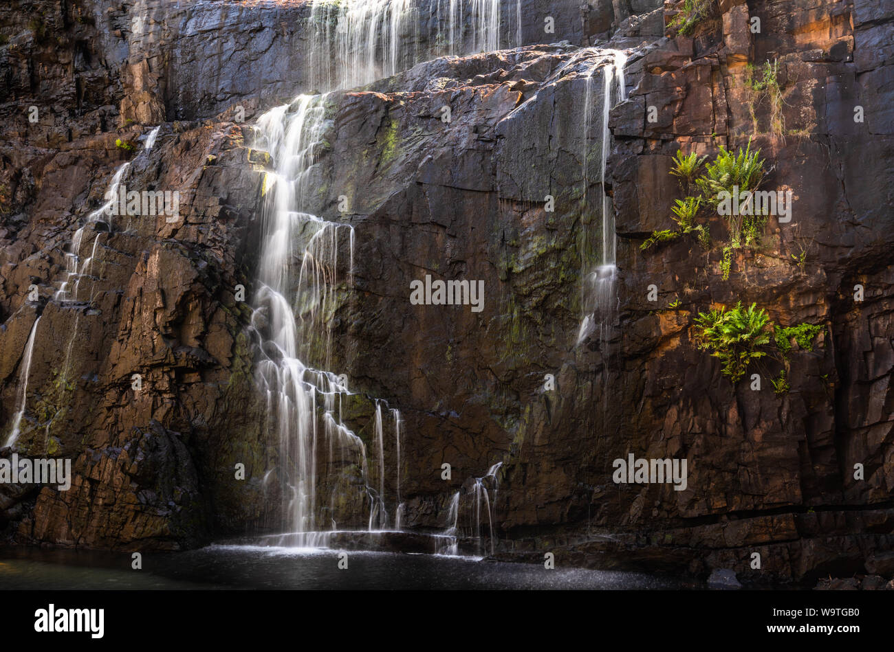 MacKenzie Falls, Parco Nazionale di Grampians, Victoria, Australia Foto Stock