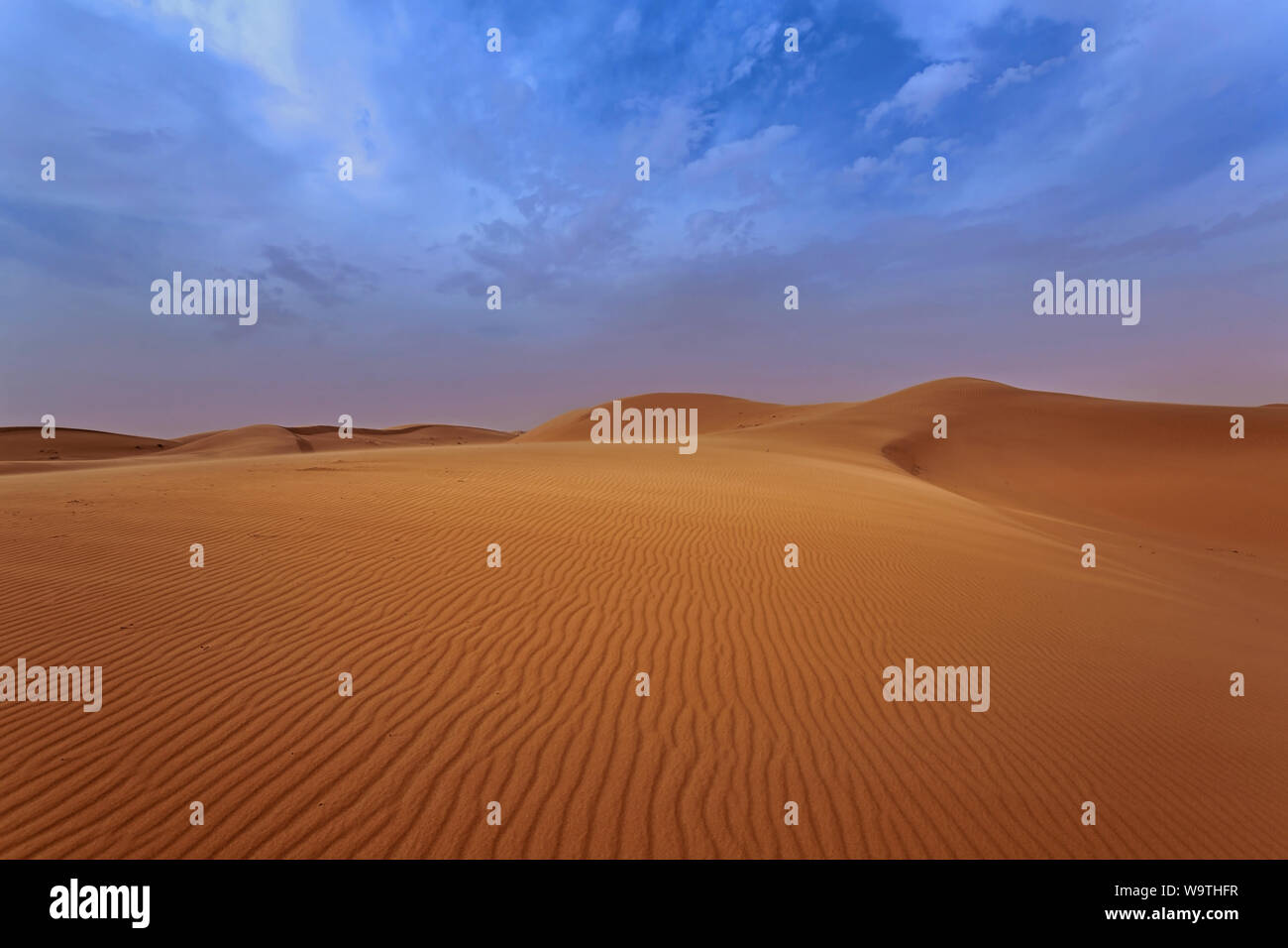 Le dune di sabbia del deserto, Arabia Saudita Foto Stock