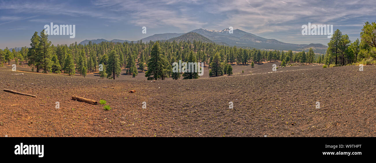 Vista di San Francisco Peaks dal Lenox cratere, Sunset Cratere di Vulcano monumento nazionale, Arizona, Stati Uniti Foto Stock