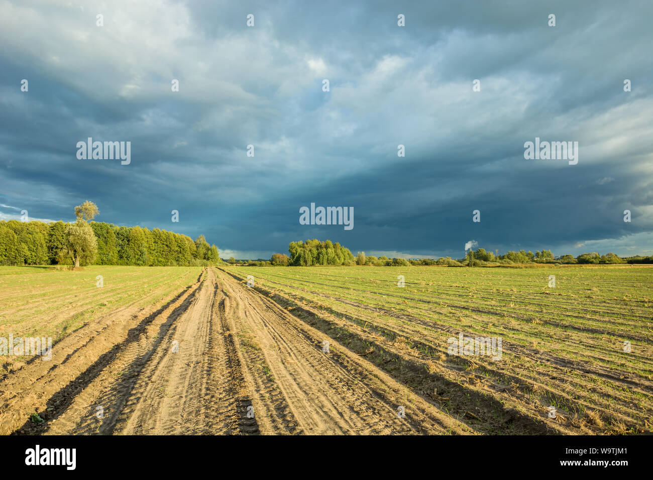 Strada sterrata attraverso i campi seminati, alberi all'orizzonte e piovosa scure nuvole nel cielo. Nowiny, Polonia Foto Stock