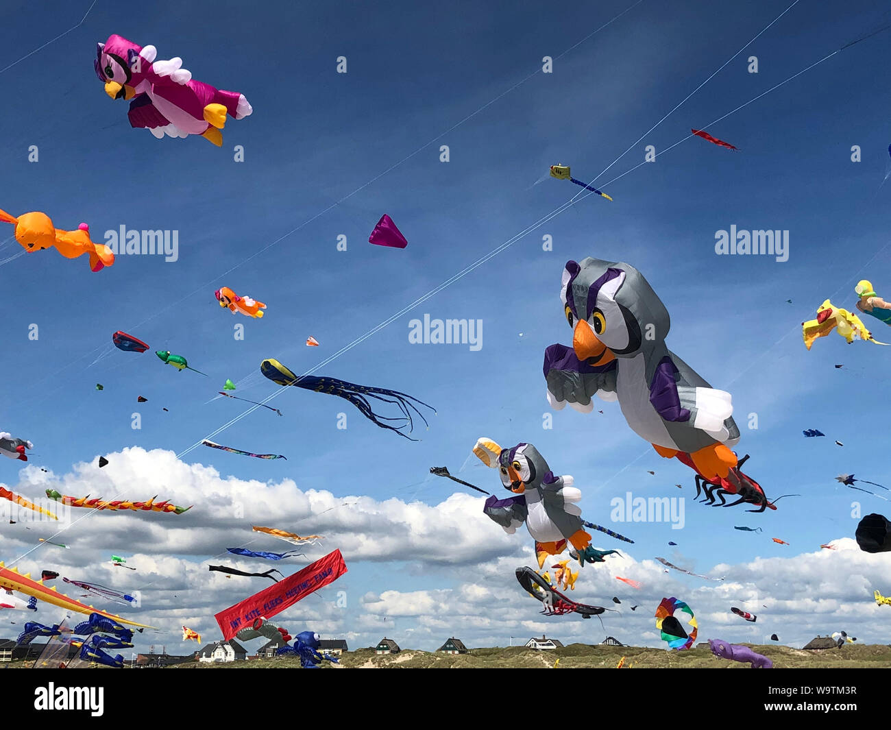 Aquiloni volare nel cielo di un Kite Festival, Fanoe, Danimarca Foto Stock
