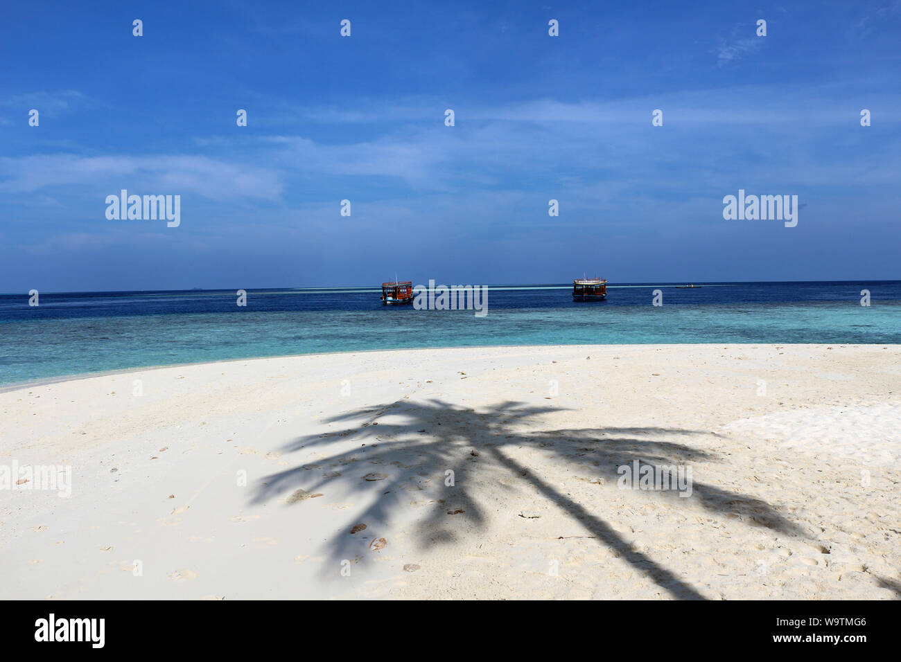 L'ombra di una palma sulla spiaggia. Maldive. Foto Stock