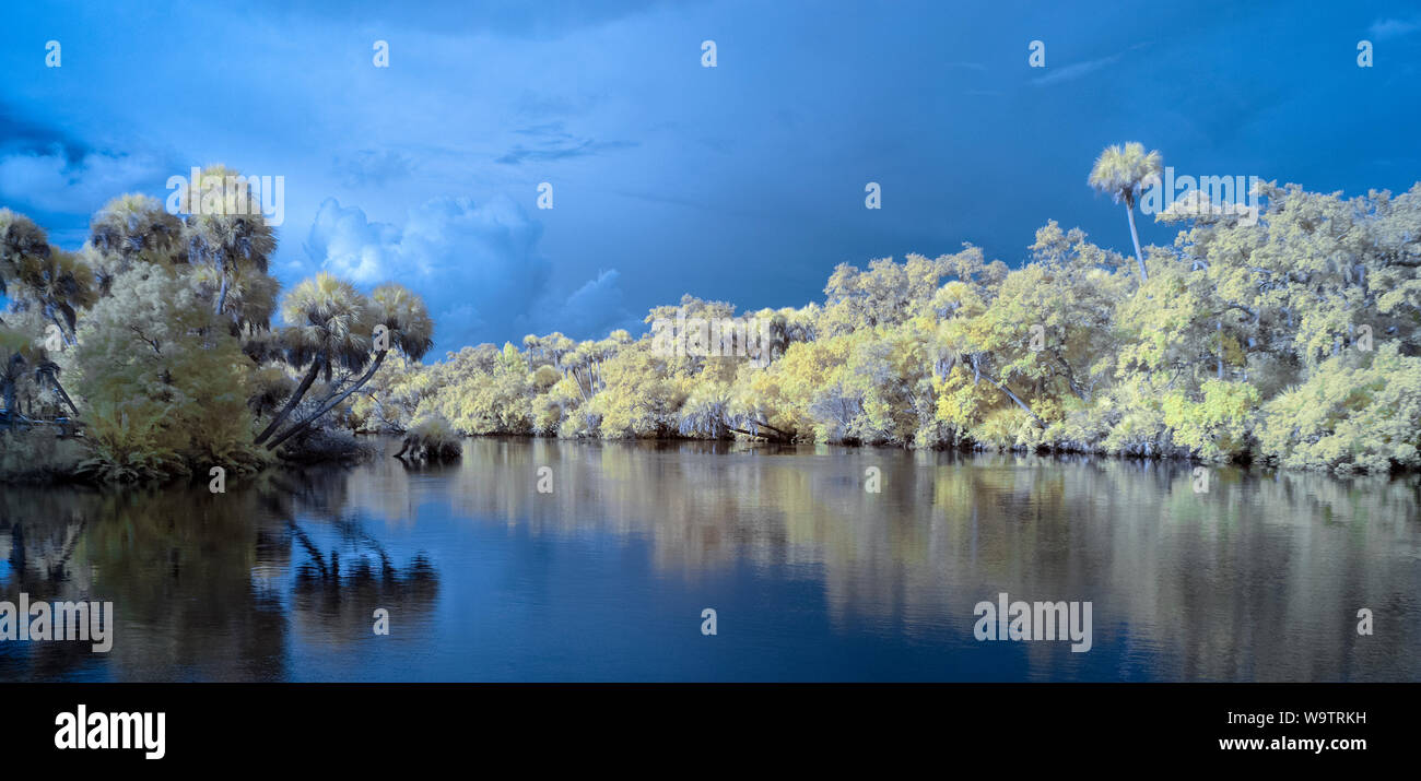Fiume Myakks a Venezia Florida prese con un rosso a infrarossi immagine a falsi colori Foto Stock