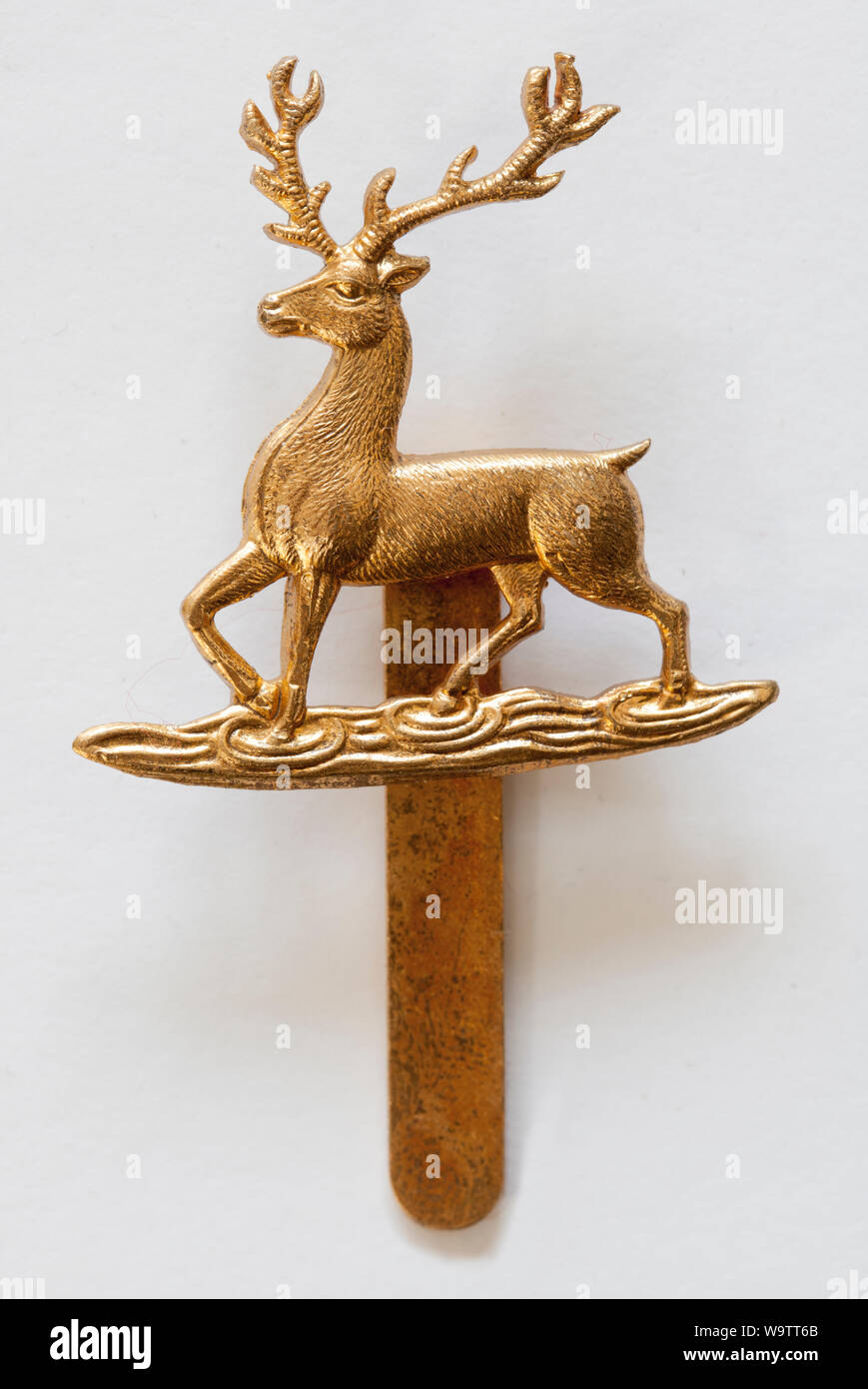 British Army cappello militare badge Foto Stock