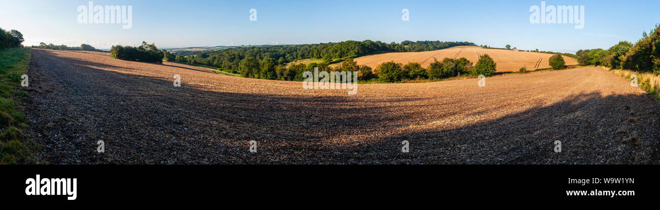 Campi Plouged e macchie di boschi coprono il rotolamento il paesaggio agricolo di Inghilterra del Dorset Downs. Foto Stock