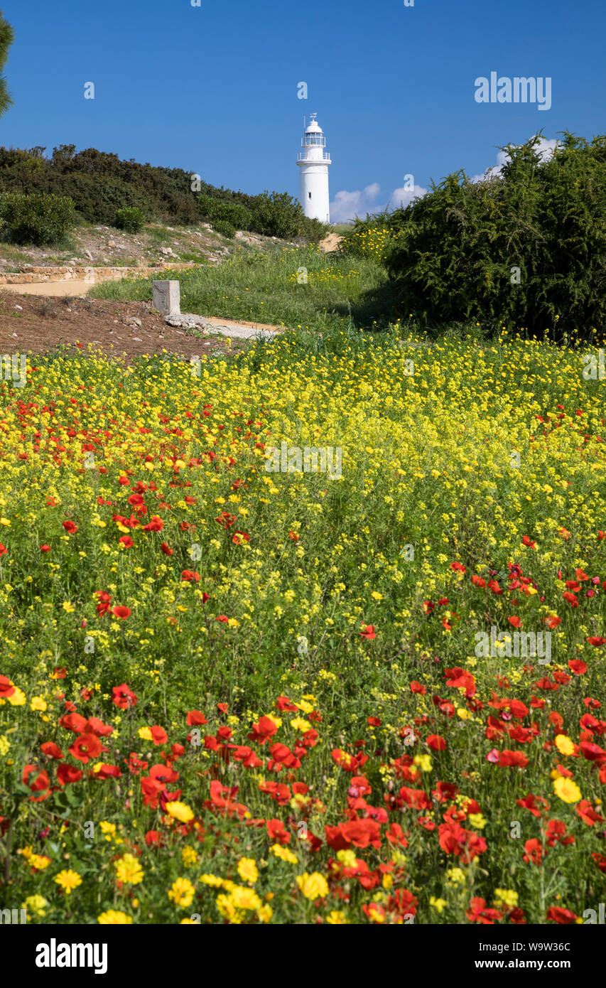 Faro di Paphos con fiori selvatici in primo piano, Kato Pafos parco archeologico, Cipro Foto Stock