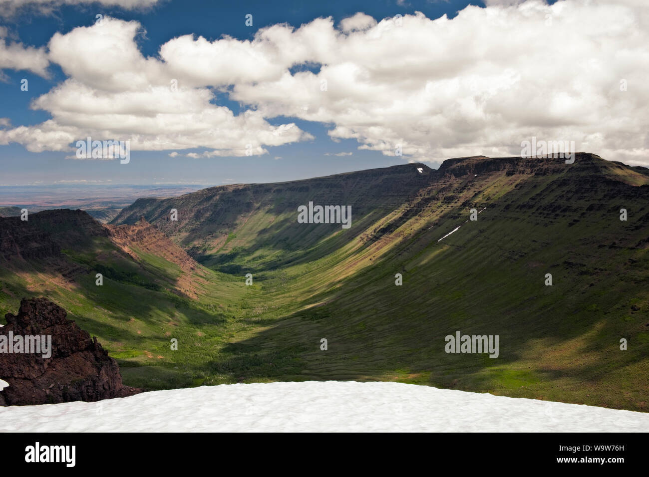 Ripiano di neve si estende in luglio si affaccia su questa vista spettacolare forra Kiger sulla cima di sé dell'Oregon Steens Mountain Wilderness. Foto Stock