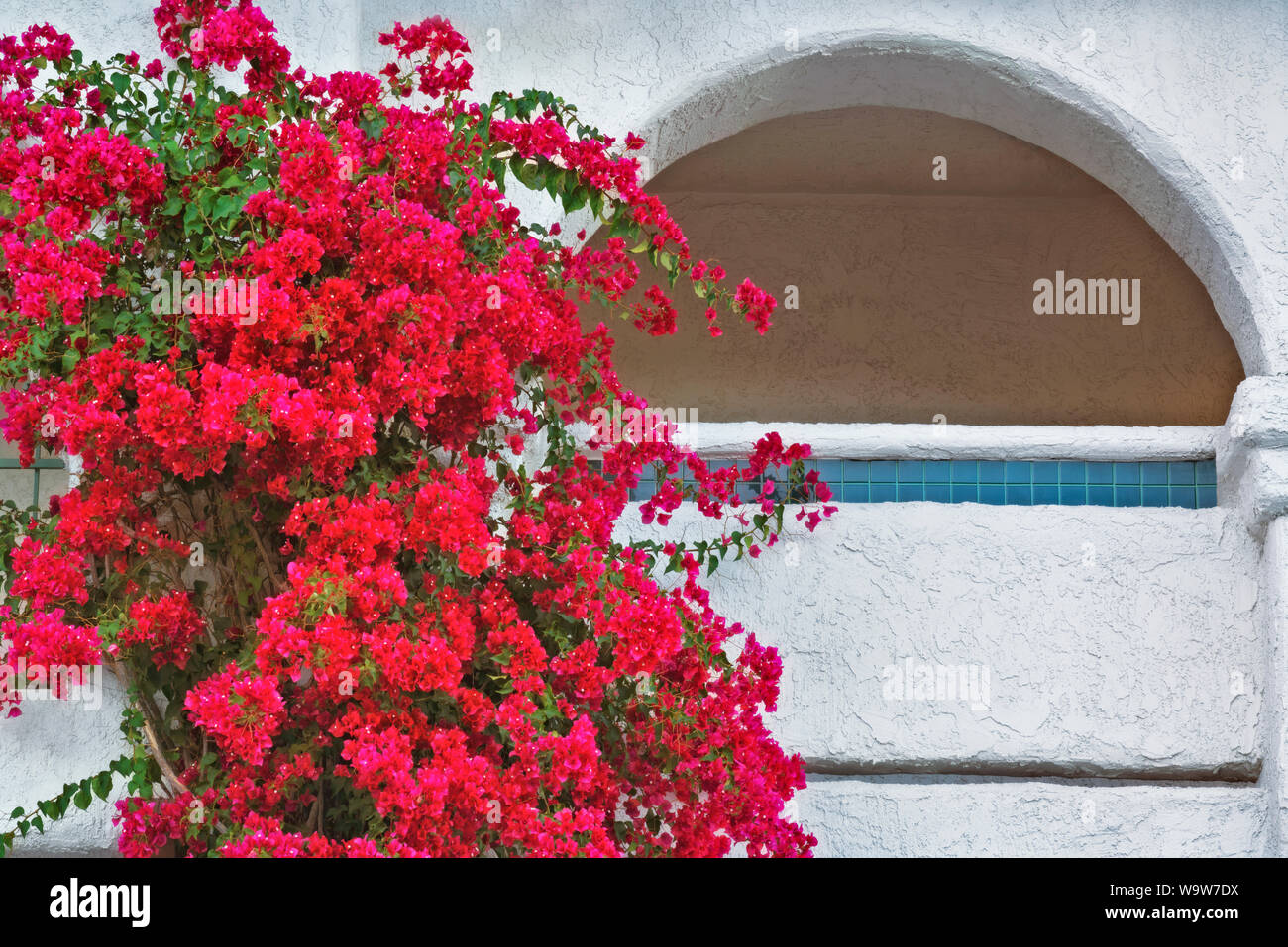 Bouganvillea fiorisce lungo il balcone di questo hotel in Palm Springs, California. Foto Stock