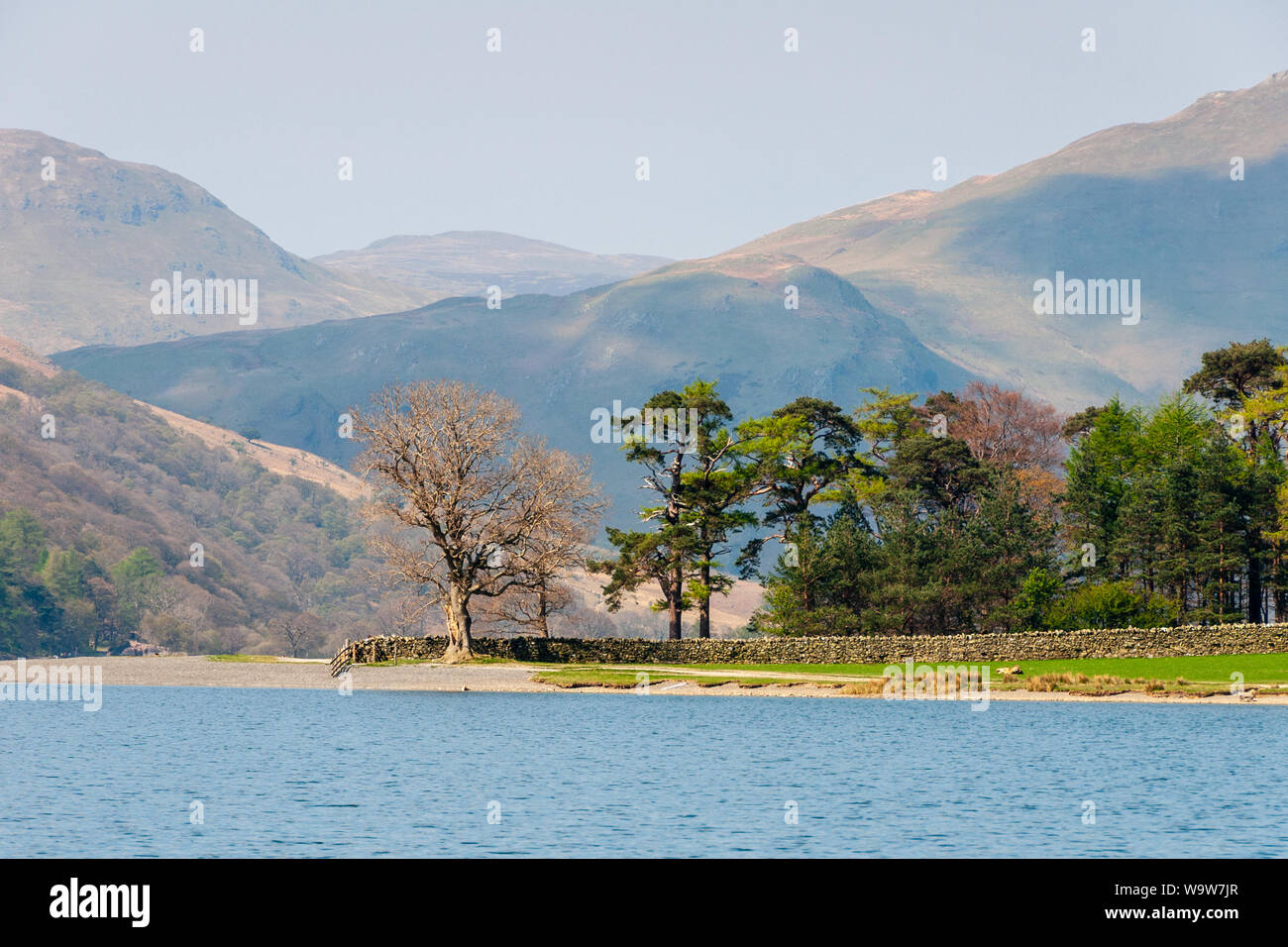 Sole splende sulle rocce e alberi sulle rive del lago Buttermere, sotto le montagne di Inghilterra del Lake District. Foto Stock