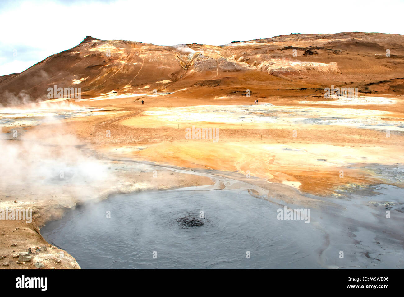 Mudpool a Hverir, nei pressi del Lago Myvatn, Islanda Foto Stock