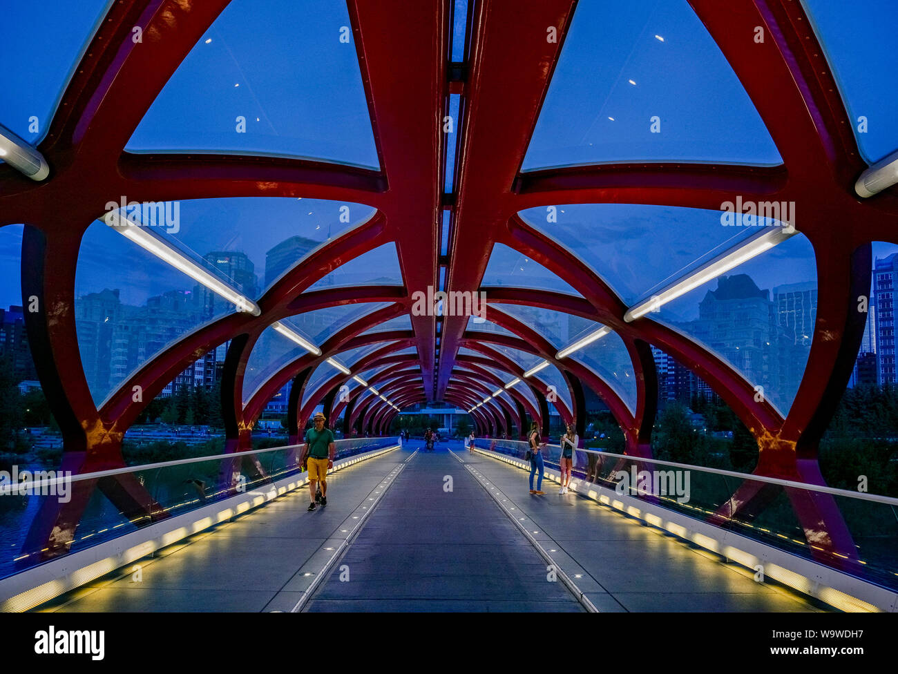 Pedoni, ciclisti, solo ponte di pace, il Fiume Bow, Calgary, Alberta, Canada Foto Stock